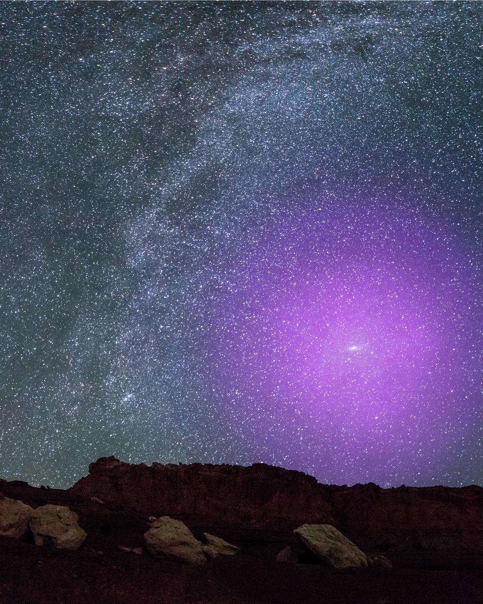 A Halo for Andromeda