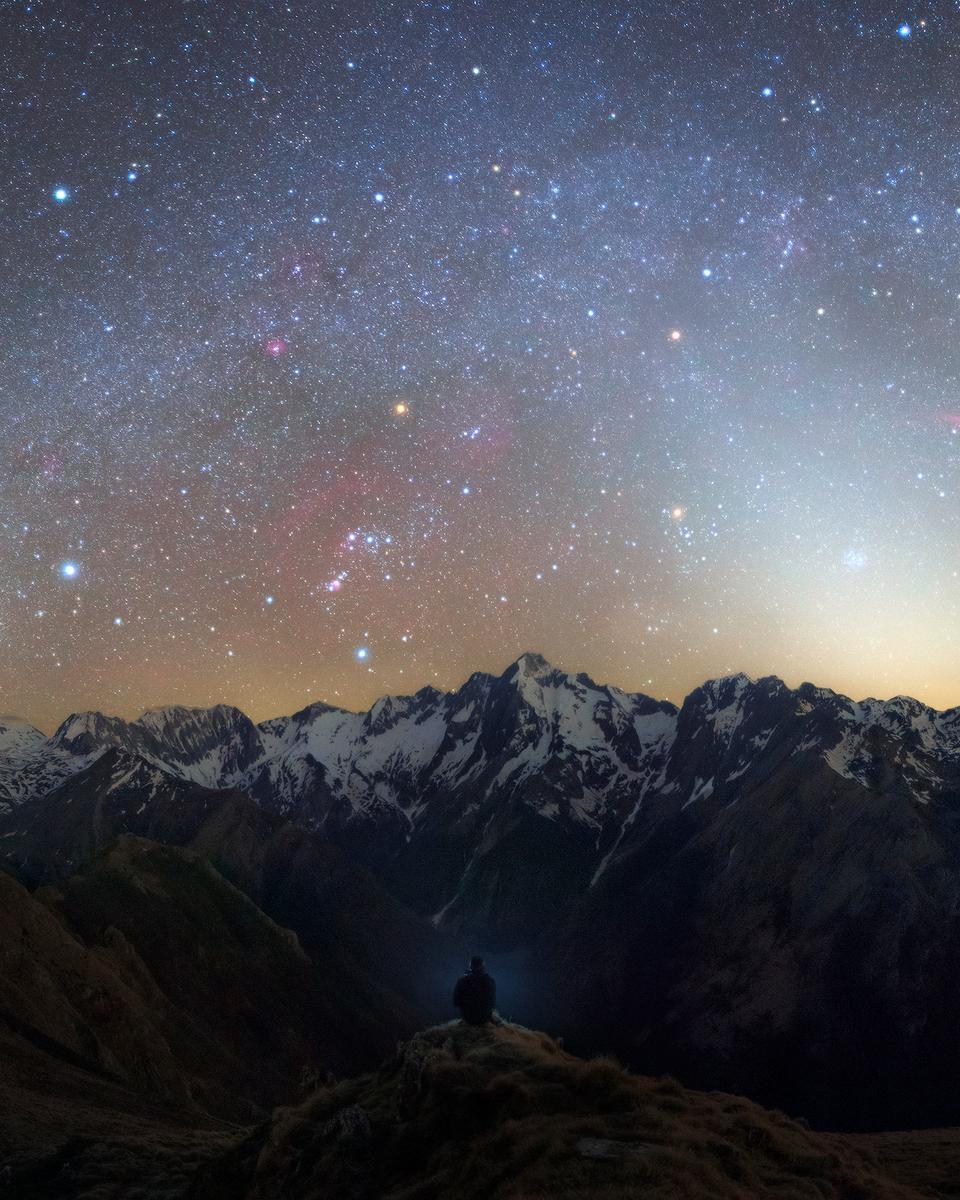 Zodiacal Night