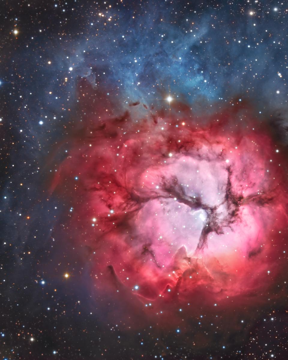 A Beautiful Trifid