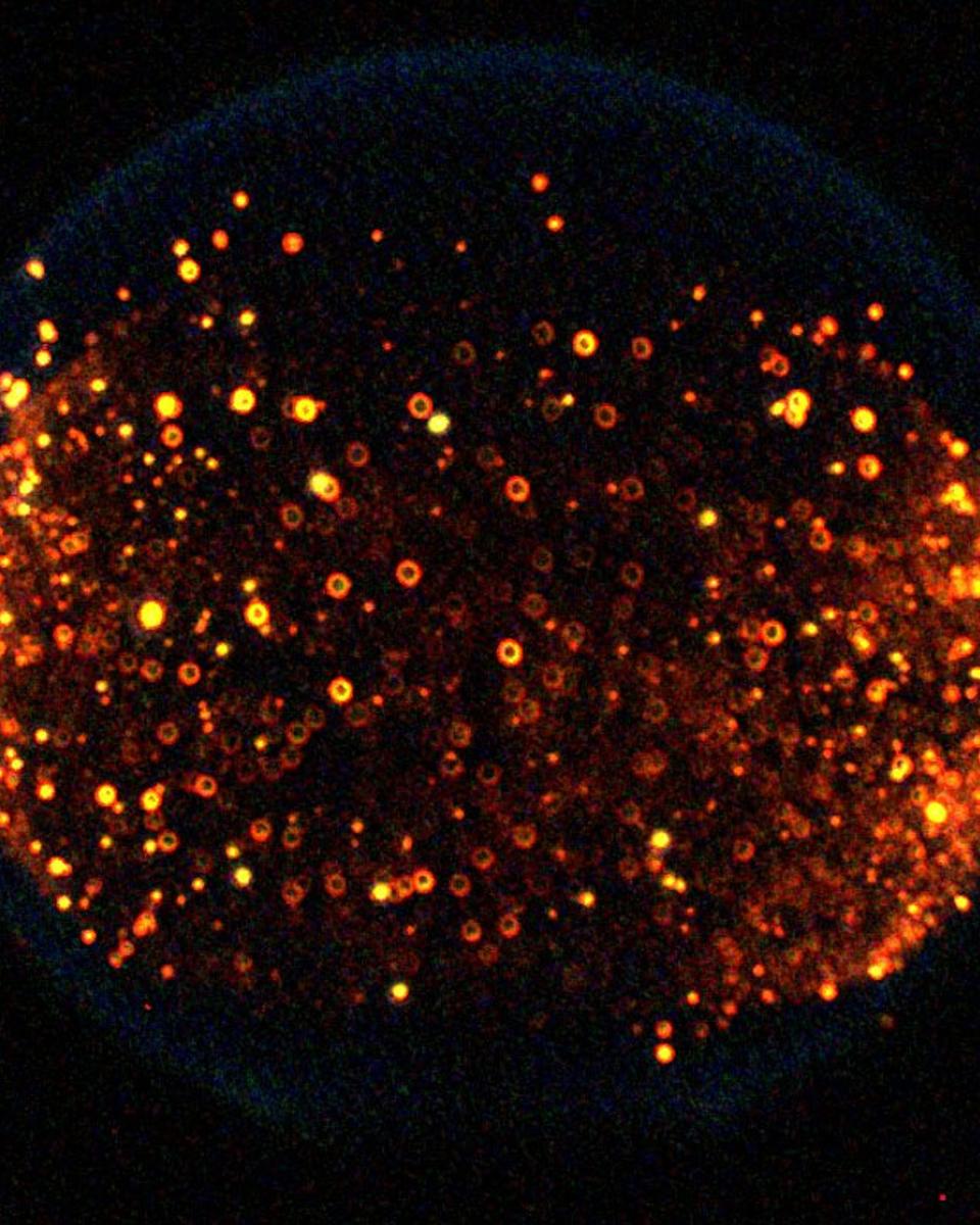 Fire in Space