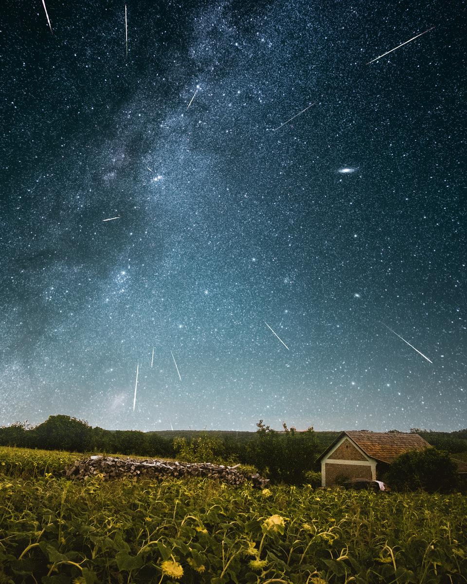 Three Perseid Nights