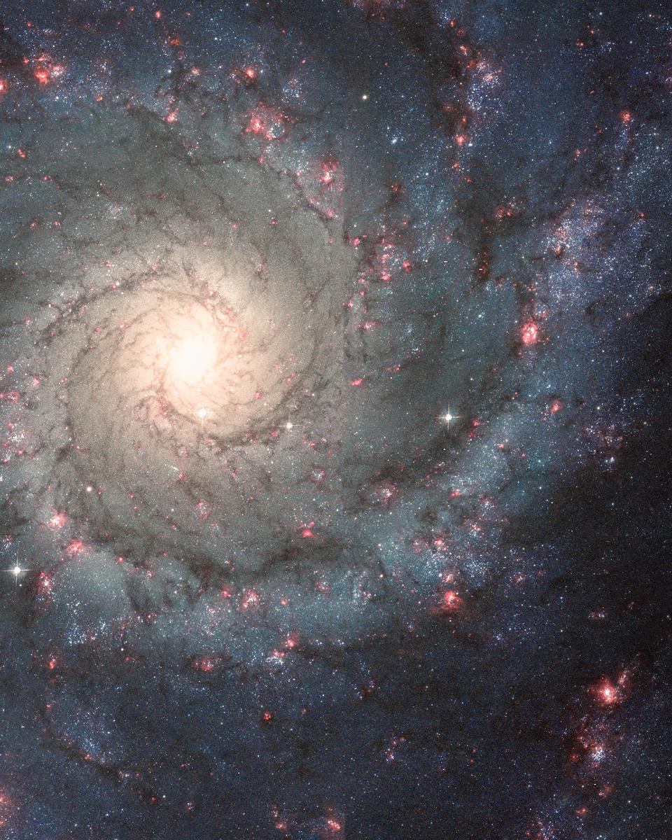 A Perfect Spiral