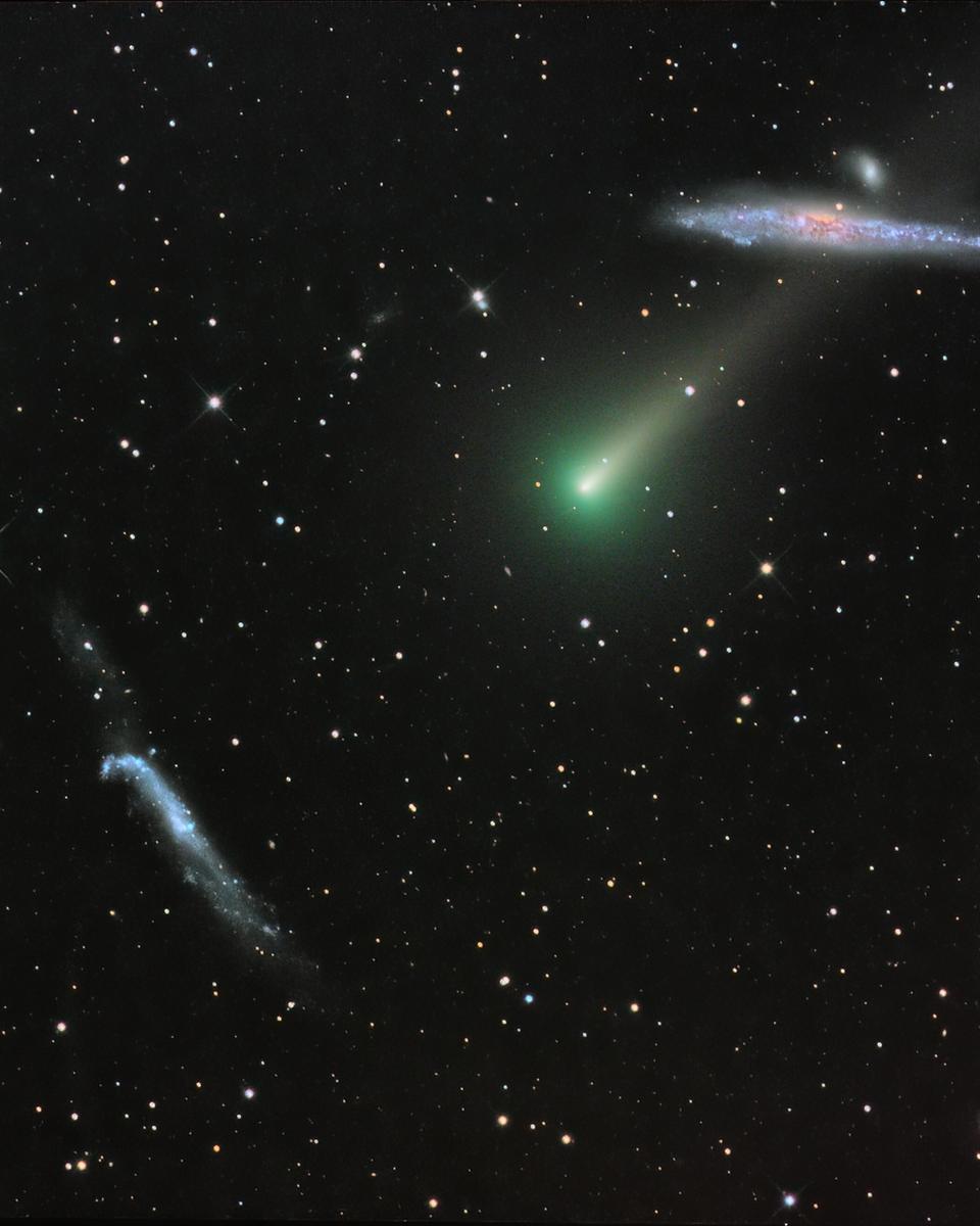Comet Leonard and the Whale Galaxy