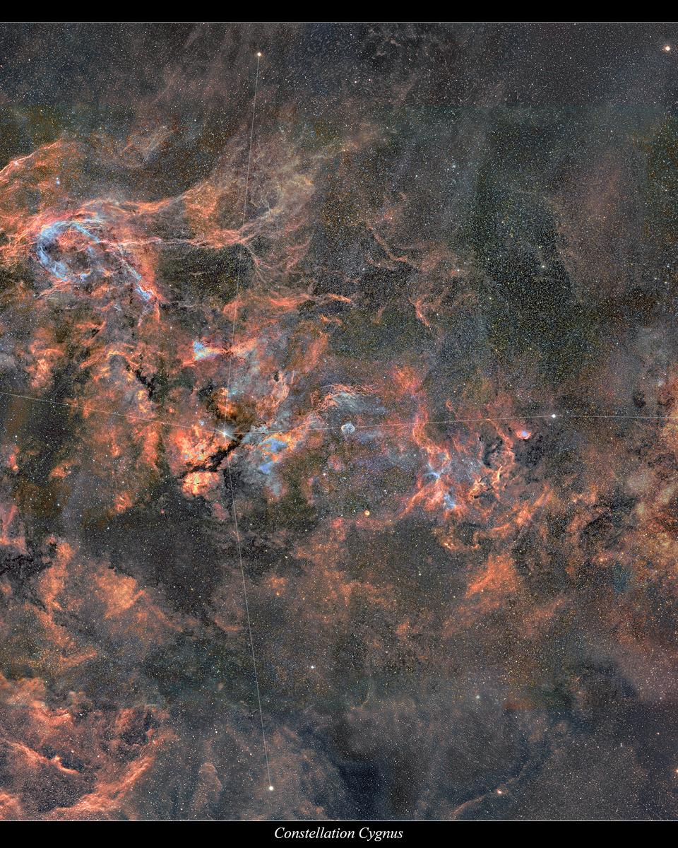 Cygnus Mosaic 2010 - 2020