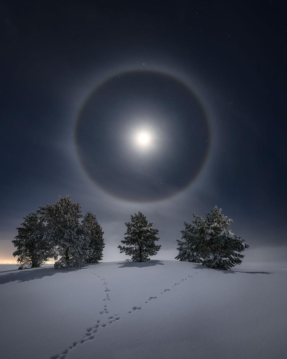 Lunar Halo over Snowy Trees