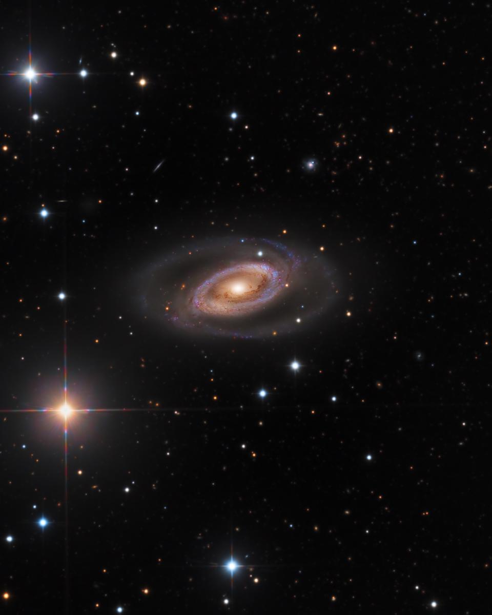 Spiral Galaxy NGC 1350