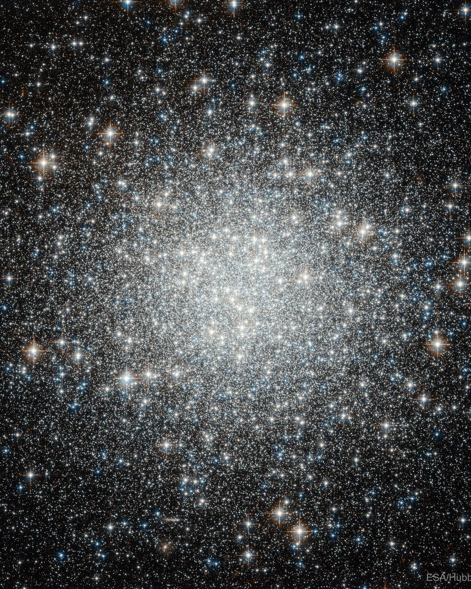 Blue Straggler Stars in Globular Cluster M53