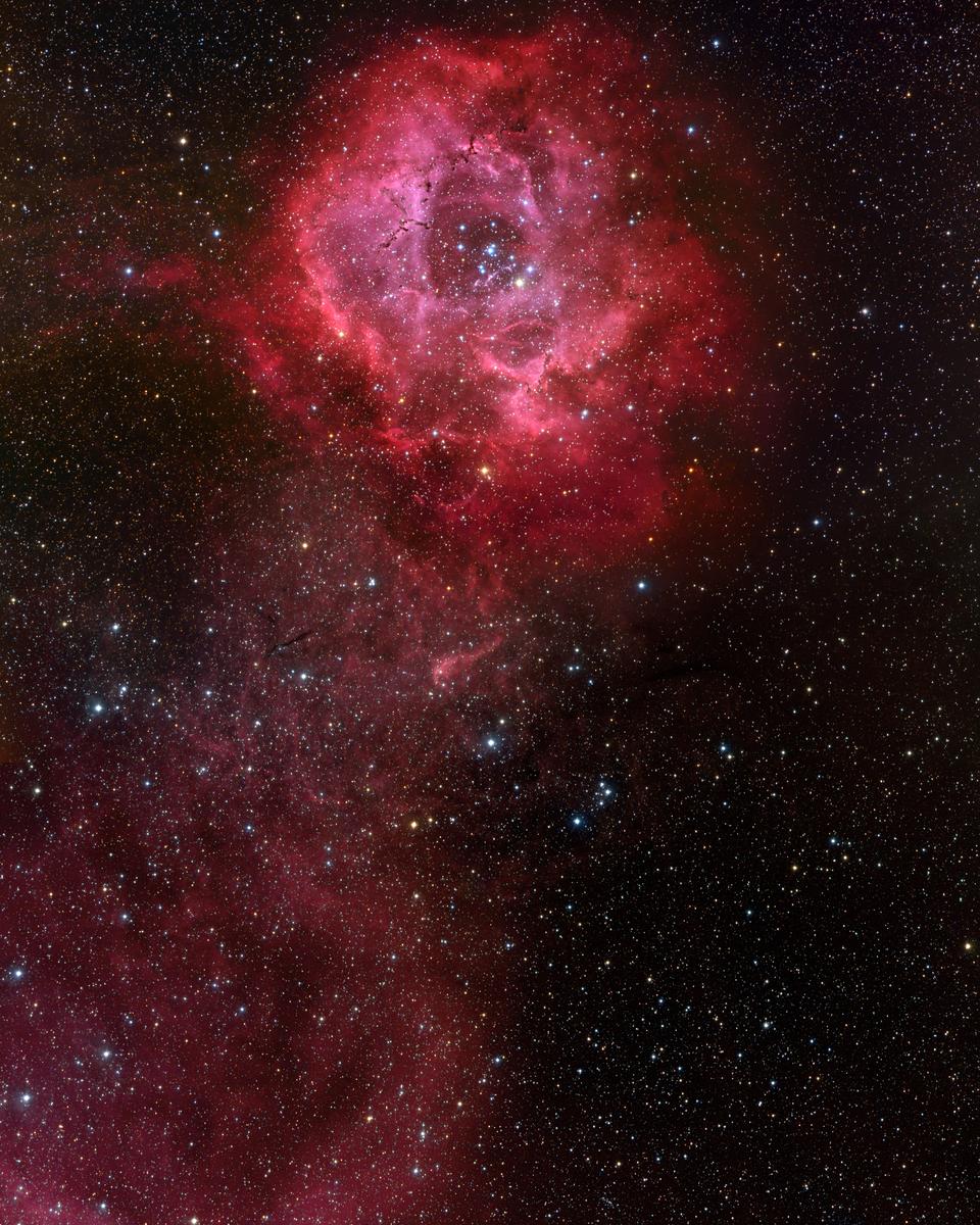 Long Stem Rosette Nebula