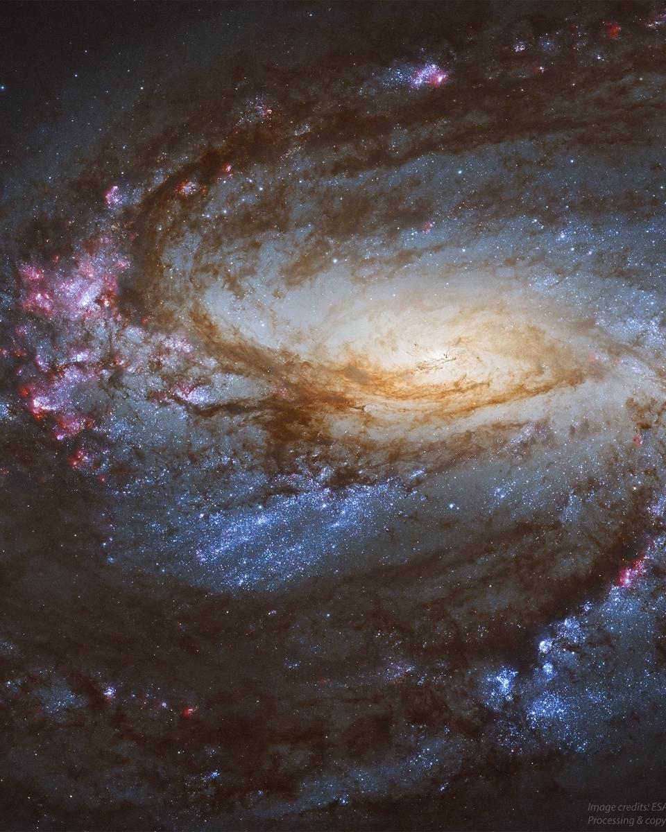 Messier 66 Close Up