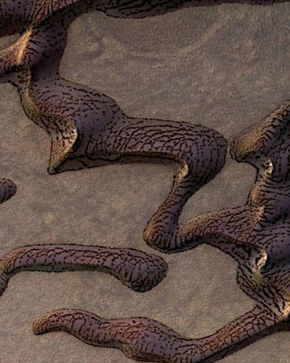 Striped Sand Dunes on Mars