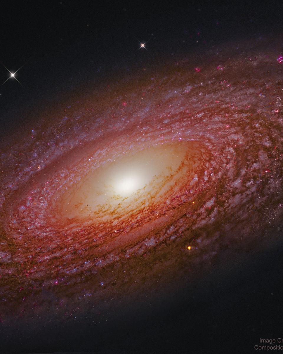 Massive Nearby Spiral Galaxy NGC 2841