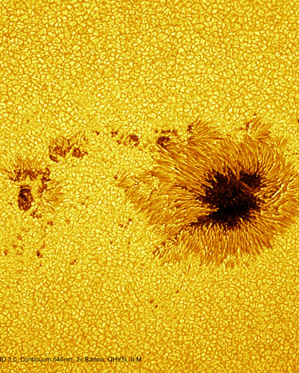 AR2835: Islands in the Photosphere