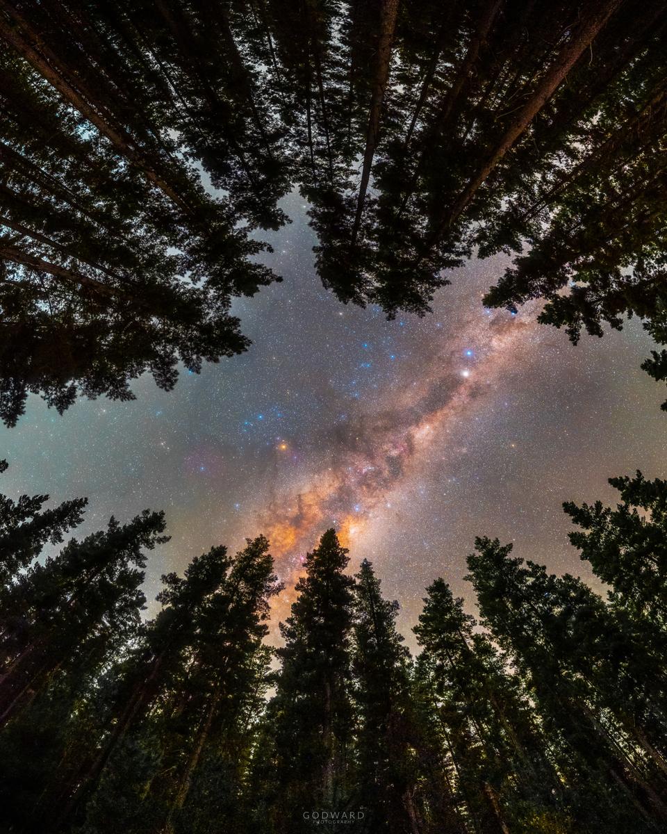 Framed by Trees: A Window to the Galaxy