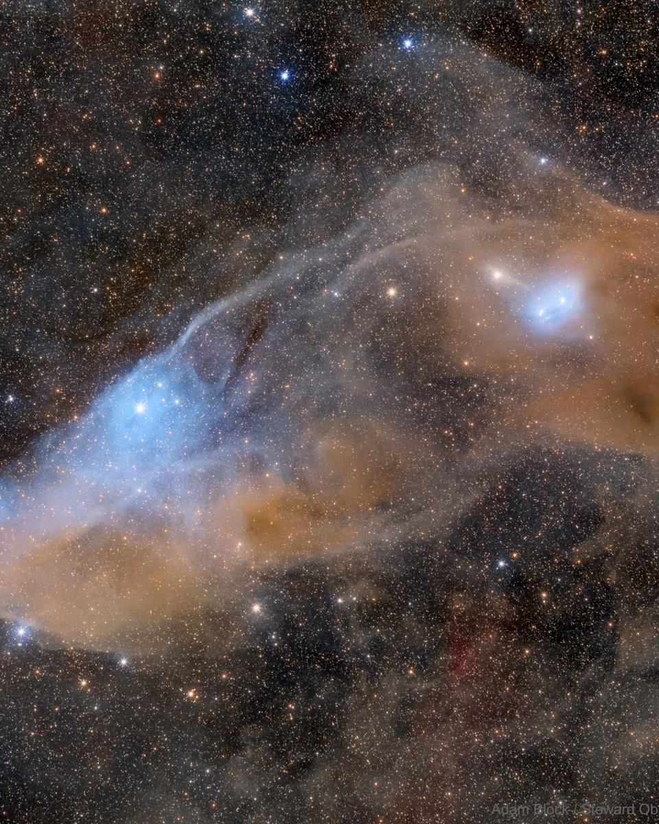 IC 4592: The Blue Horsehead Reflection Nebula