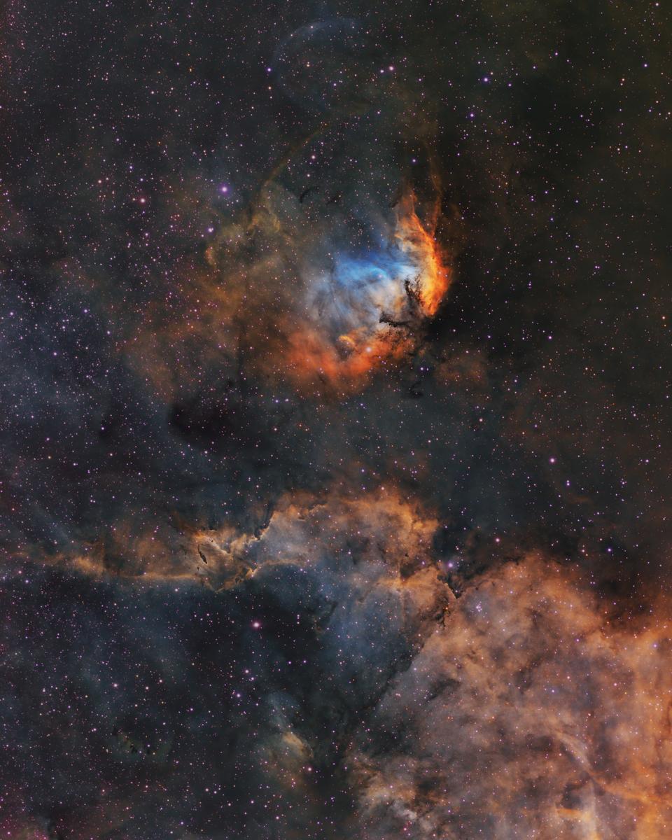 The Tulip and Cygnus X-1