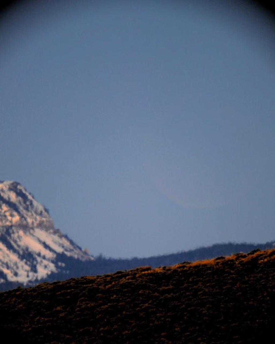 Find the Moon
