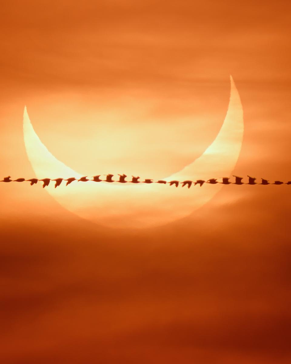 Eclipse Flyby
