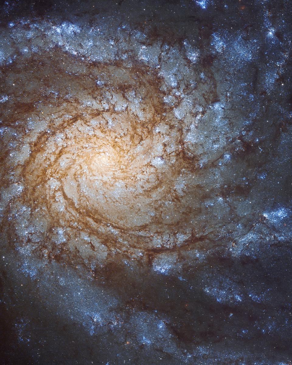 Messier 99