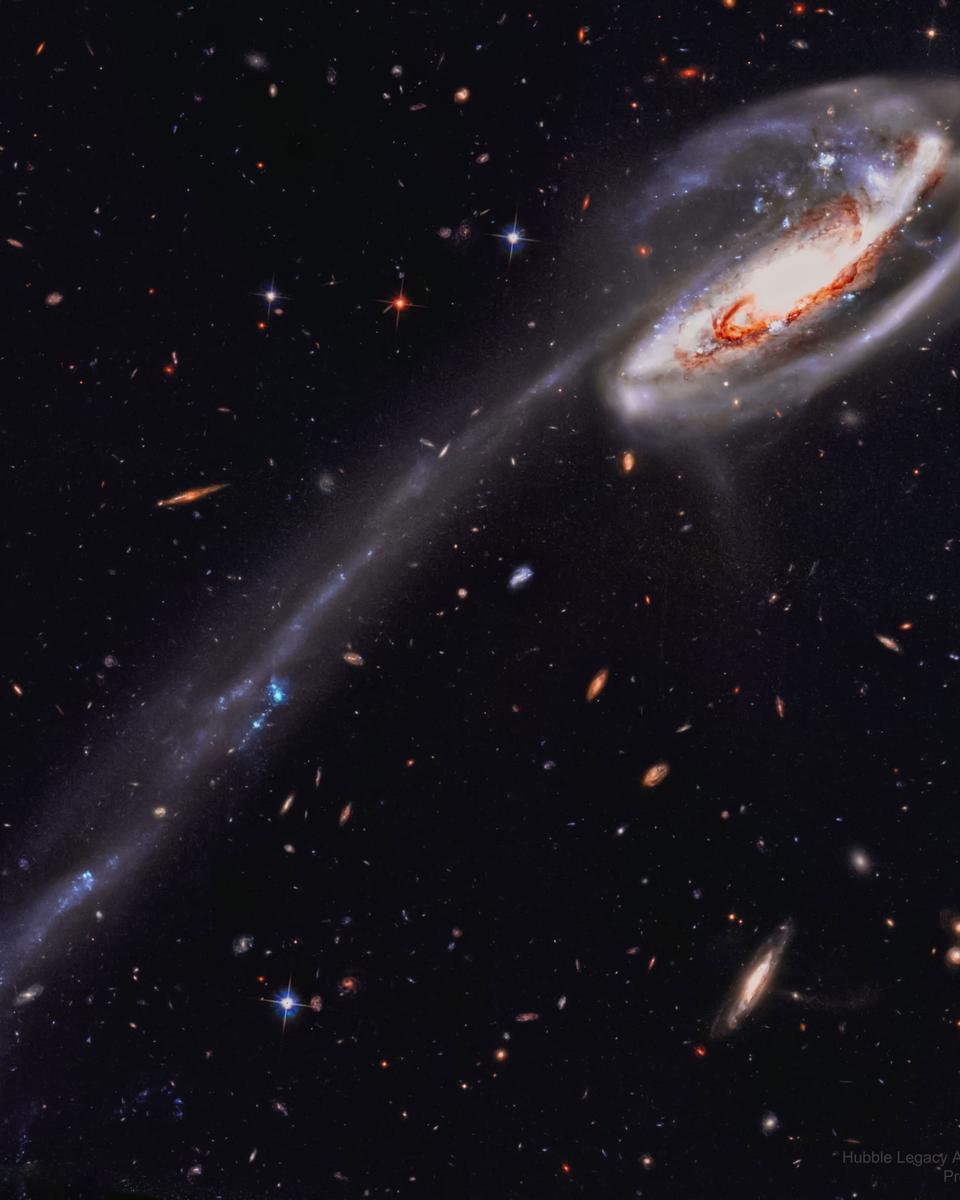 The Tadpole Galaxy from Hubble
