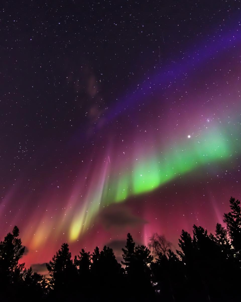 A Flag Shaped Aurora over Sweden