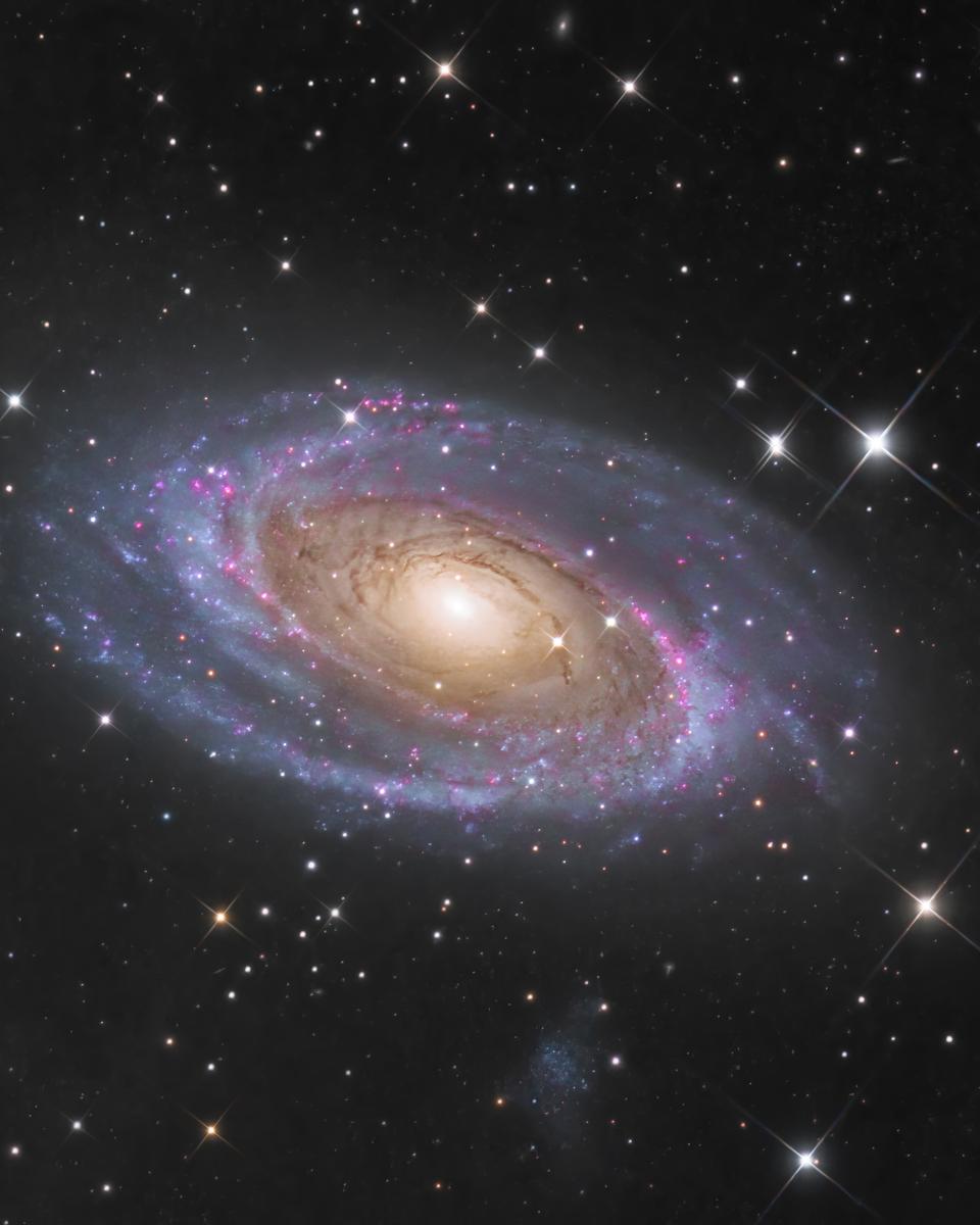 Messier 81