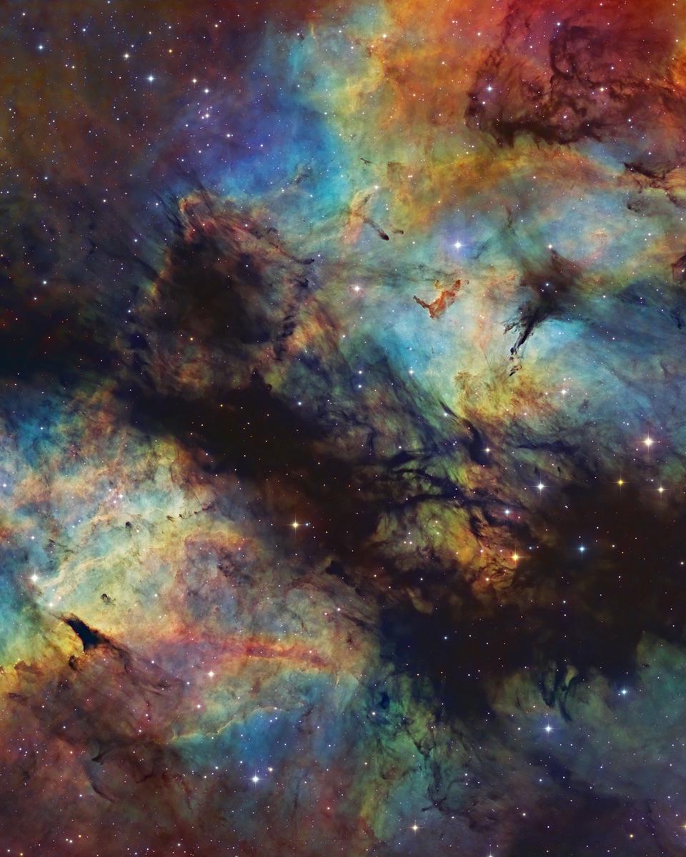 IC 1318: The Butterfly Nebula in Gas and Dust