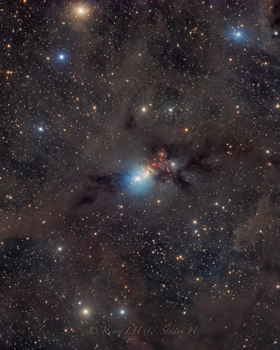 Stardust in the Perseus Molecular Cloud