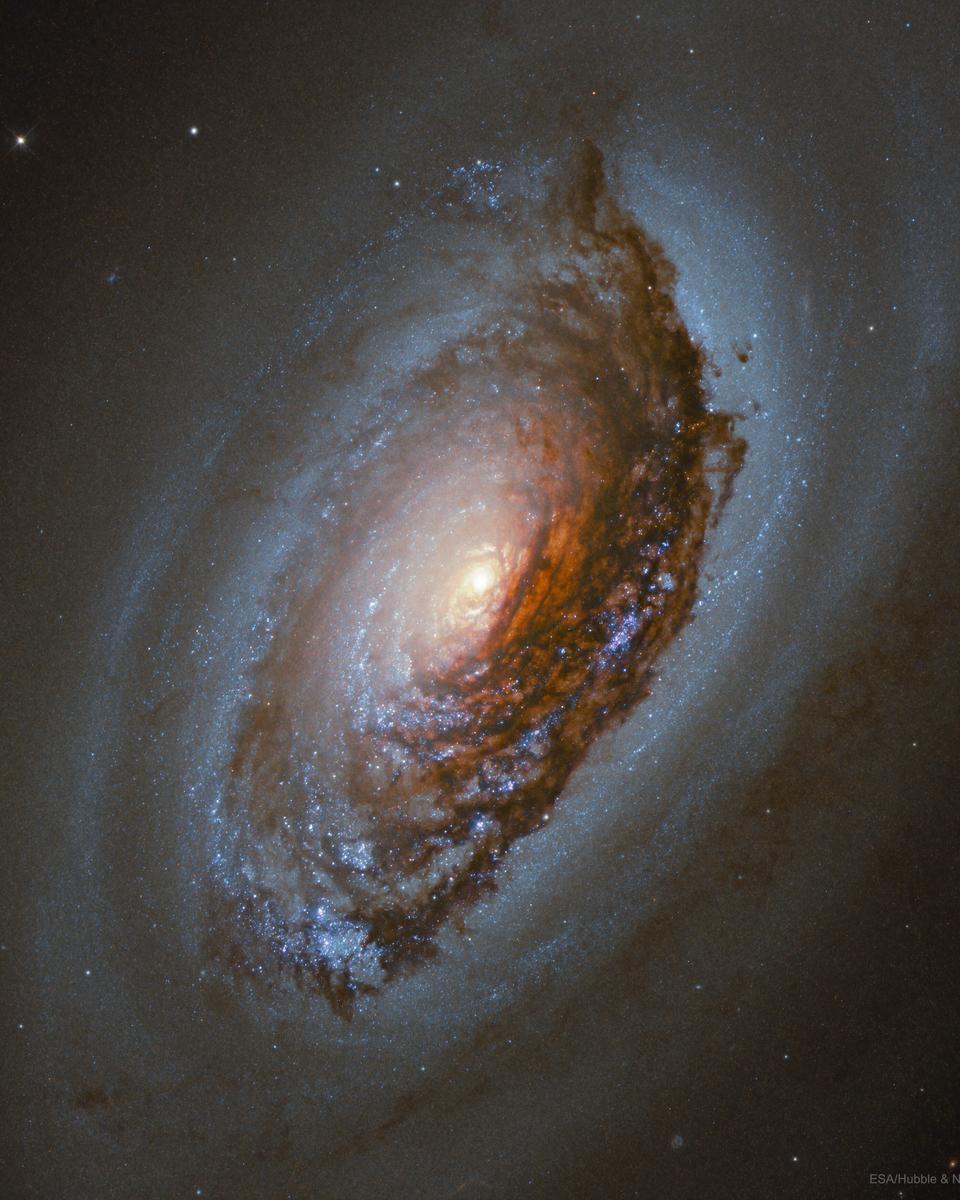 M64: The Evil Eye Galaxy