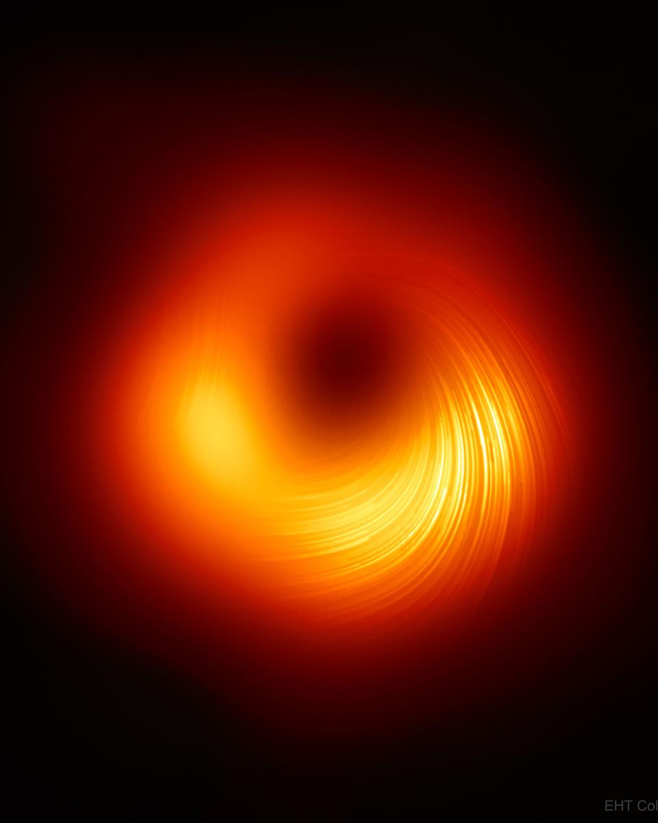 M87's Central Black Hole in Polarized Light
