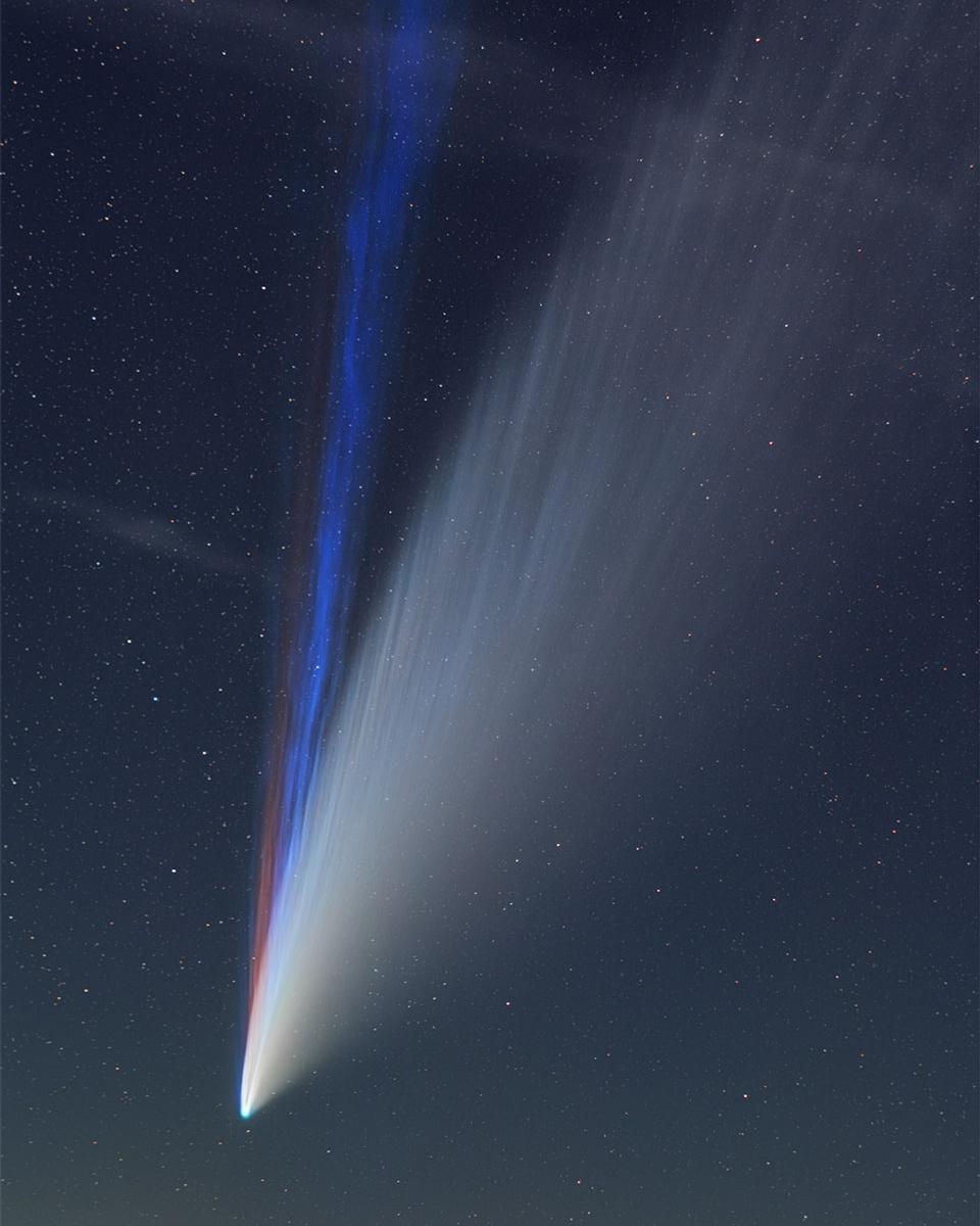 Three Tails of Comet NEOWISE