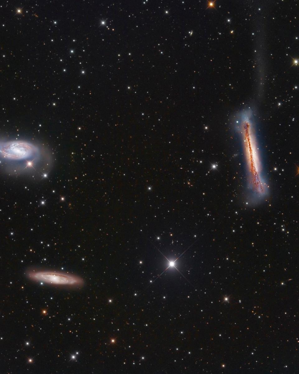 The Leo Trio