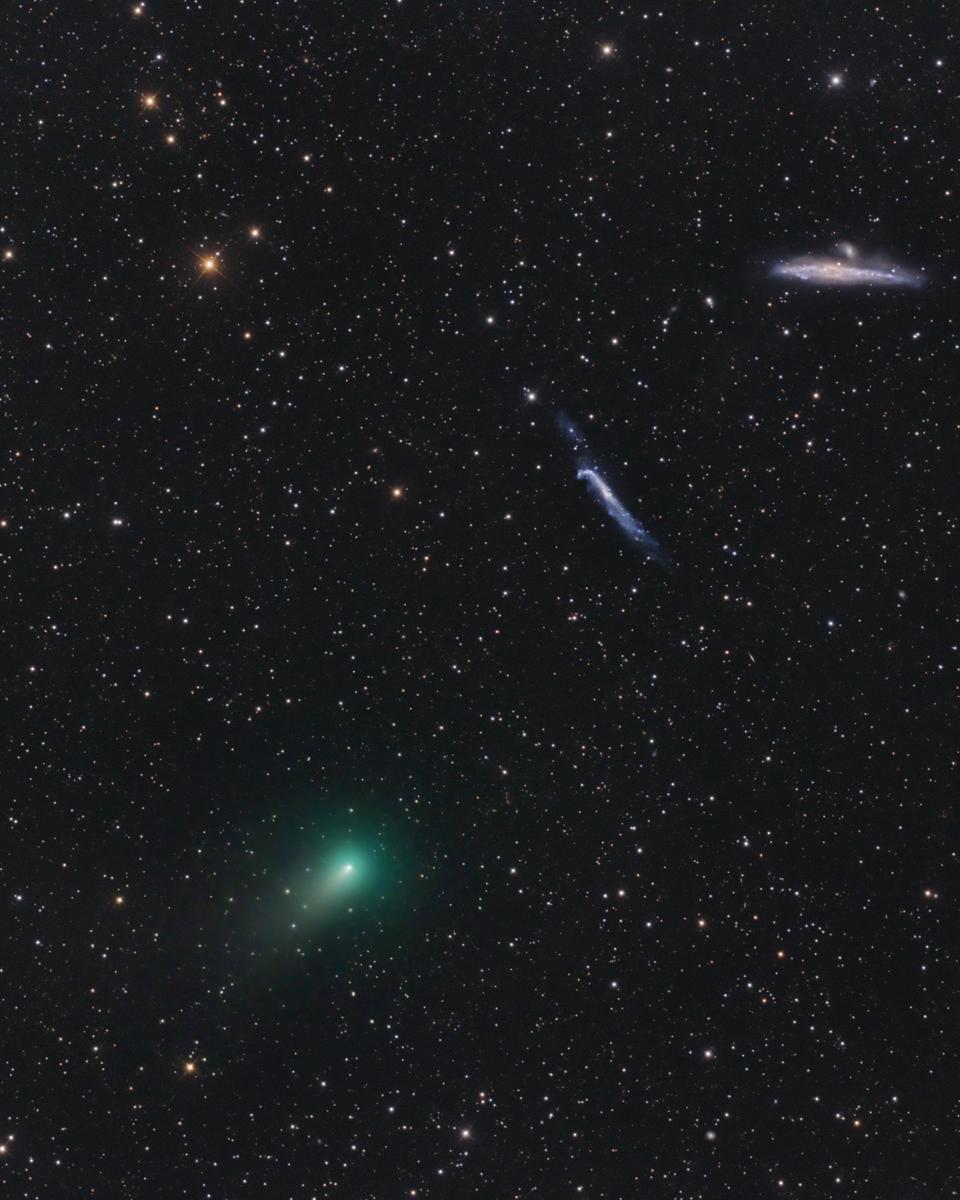The Comet, the Whale, and the Hockey Stick