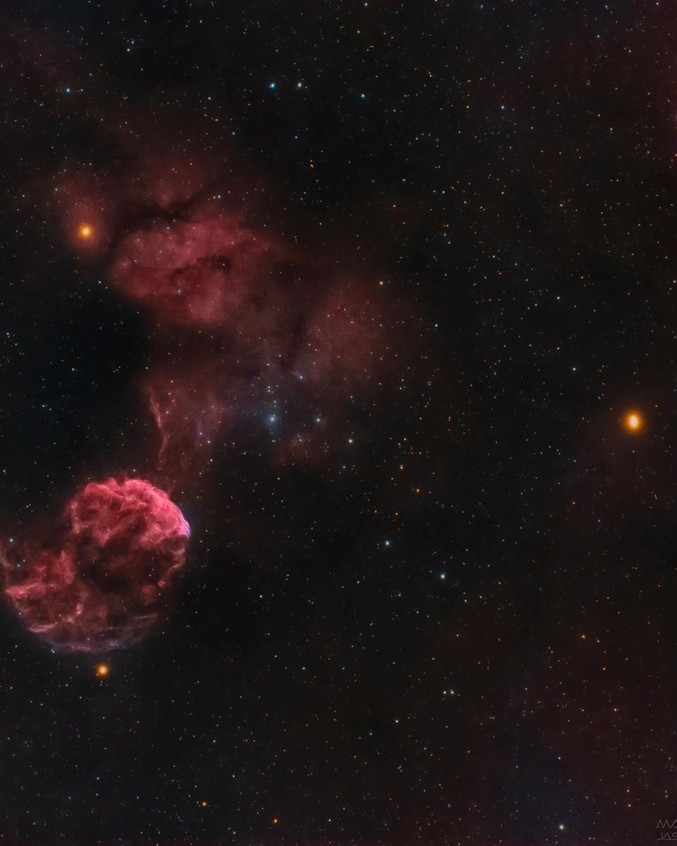 The Jellyfish and Mars
