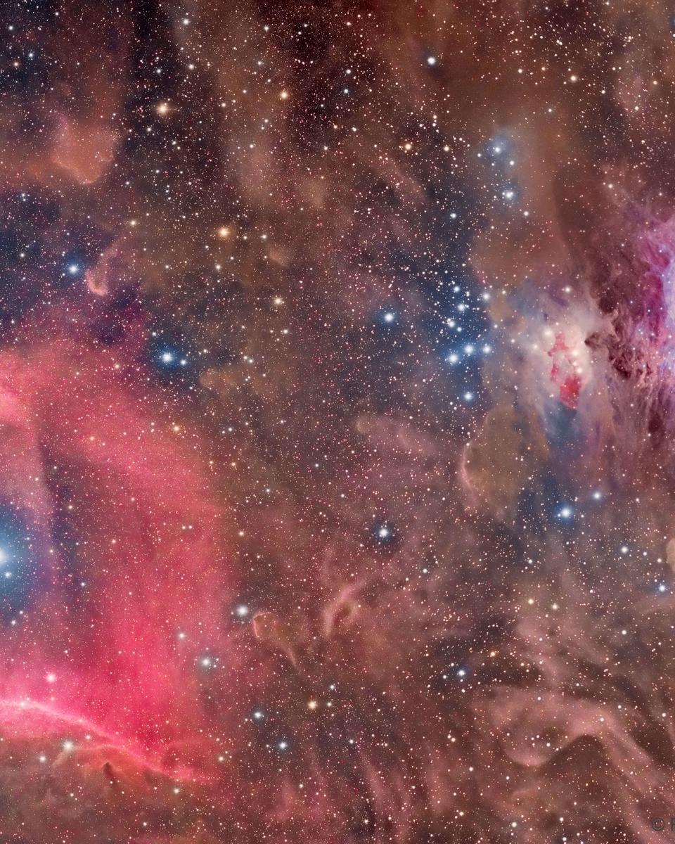 Horsehead and Orion Nebulas