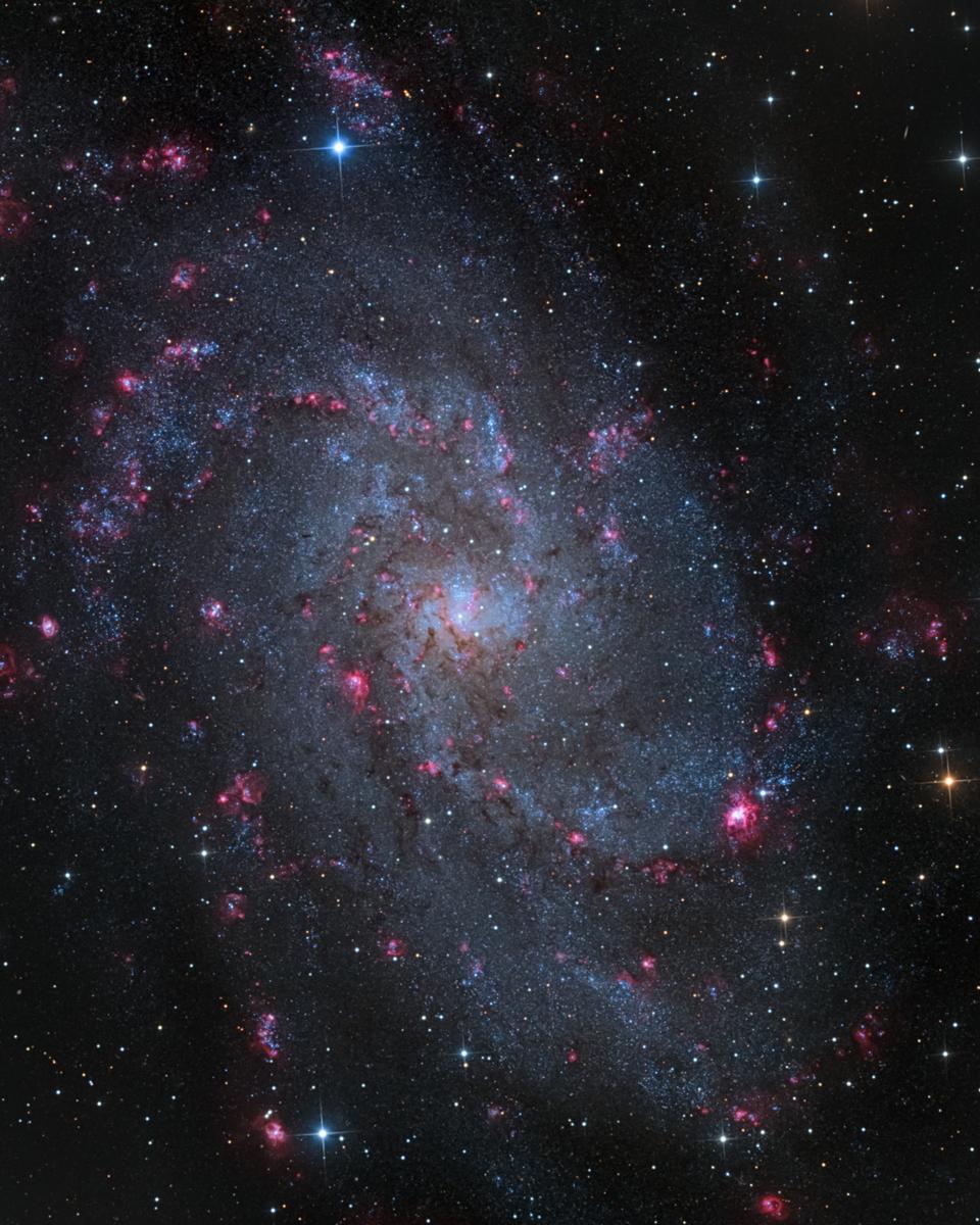 M33: The Triangulum Galaxy