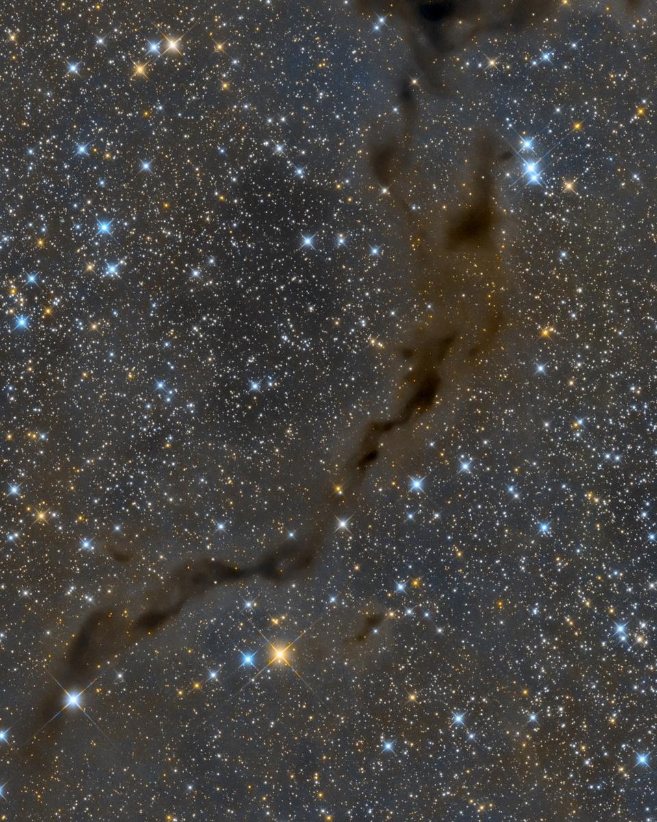 The Dark Seahorse in Cepheus