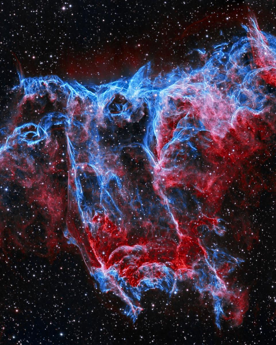 NGC 6995: The Bat Nebula