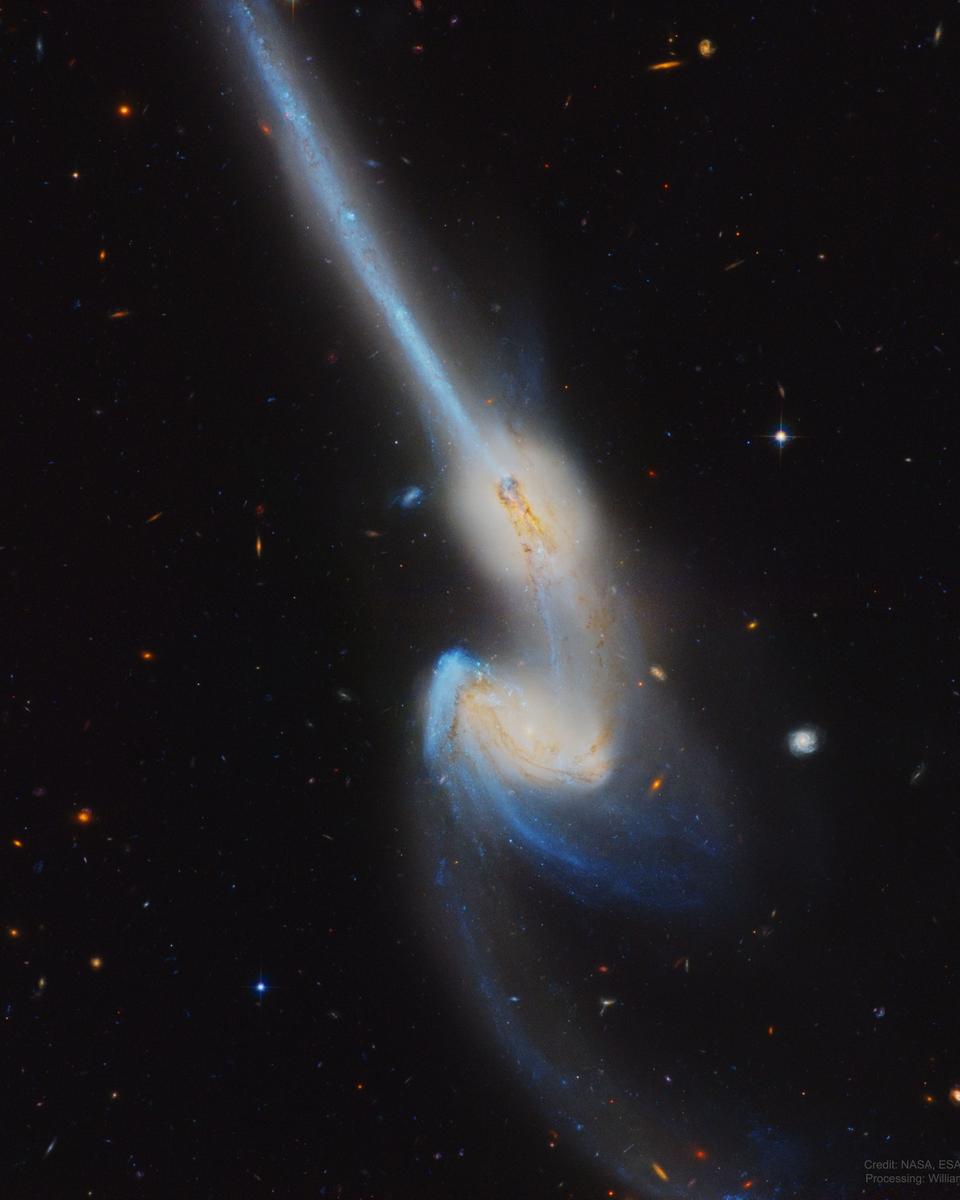 NGC 4676: When Mice Collide