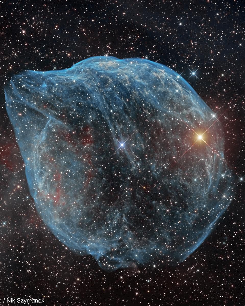 SH2-308: The Dolphin-head Nebula