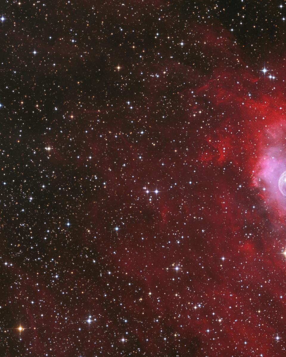The Bubble and the Star Cluster