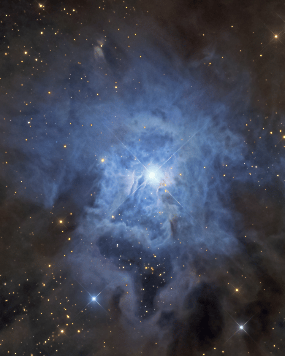 NGC 7023: The Iris Nebula
