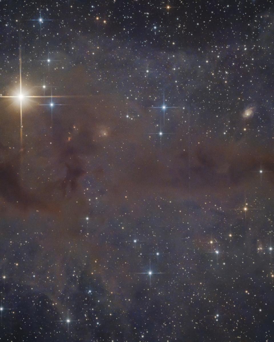 Lynds Dark Nebula 1251