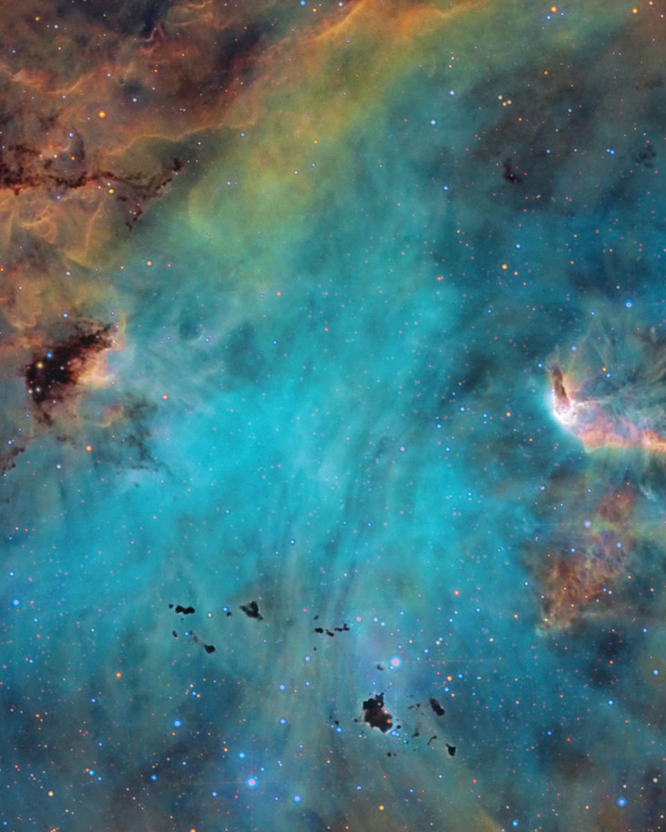 Stars and Globules in the Running Chicken Nebula