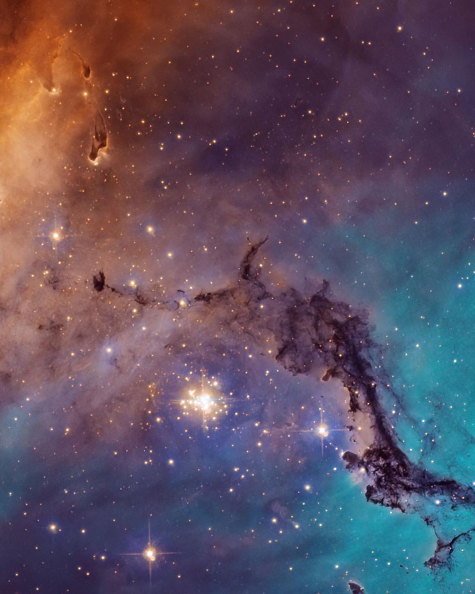 N11: Star Clouds of the LMC