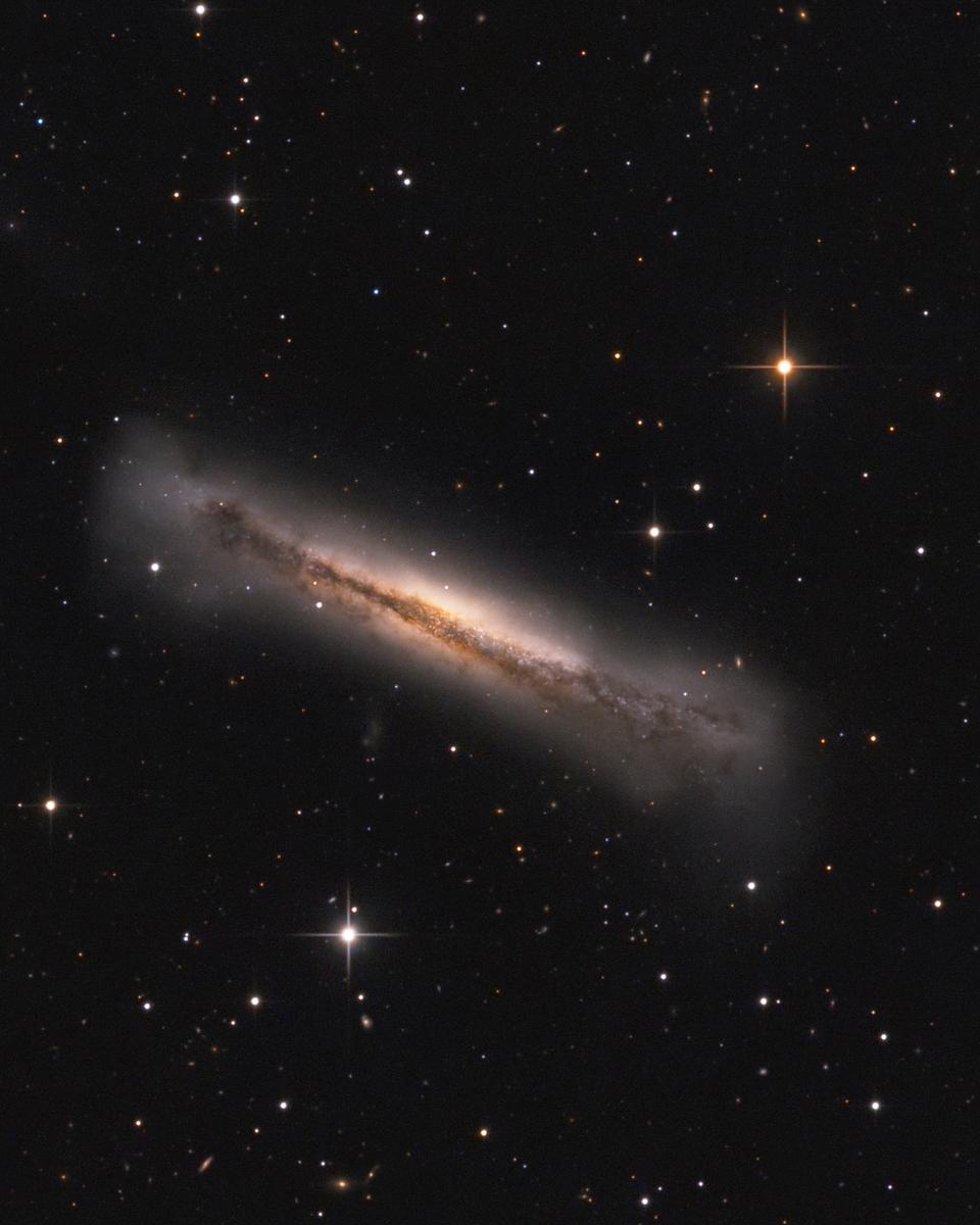 Portrait of NGC 3628