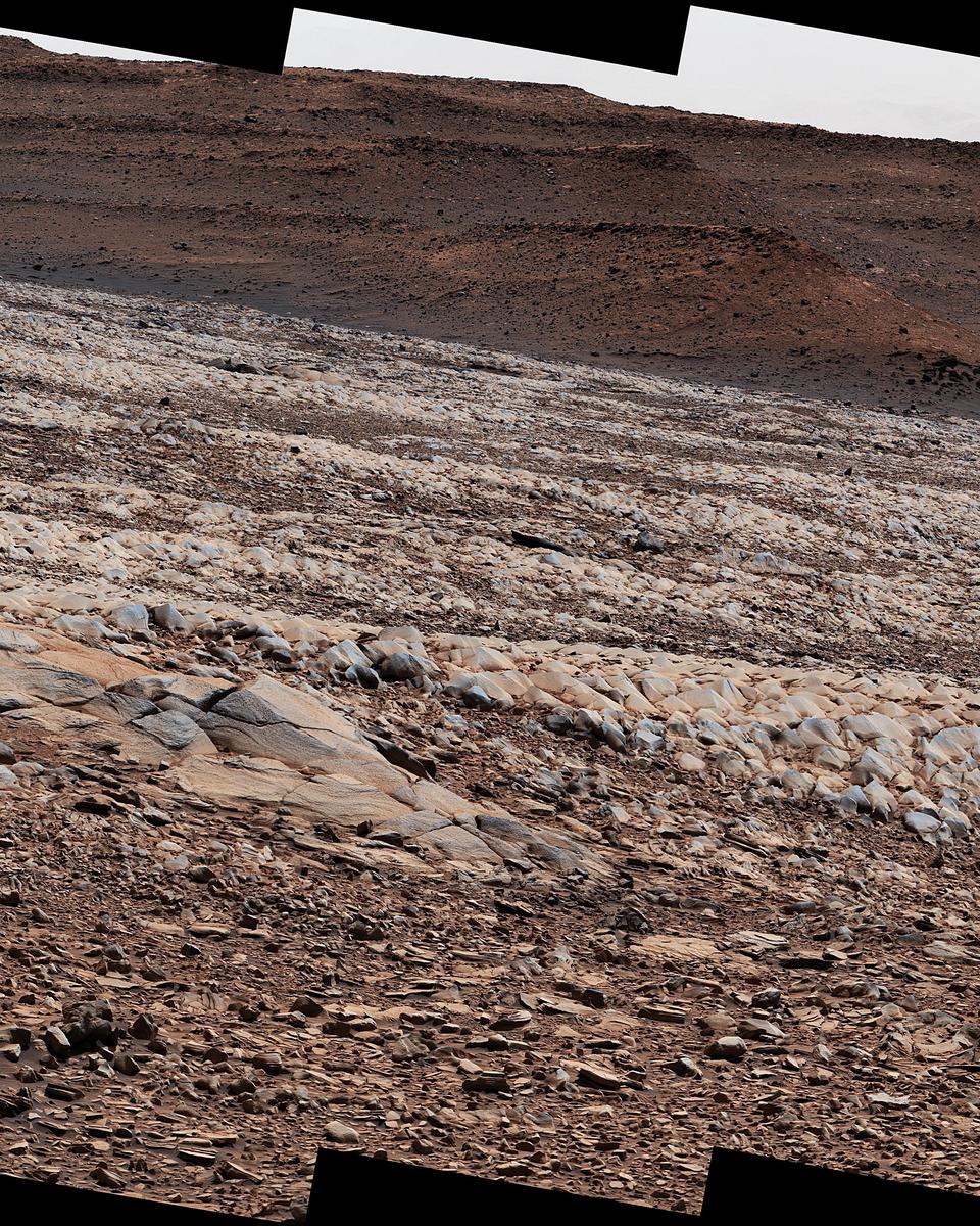 The Gator-Back Rocks of Mars
