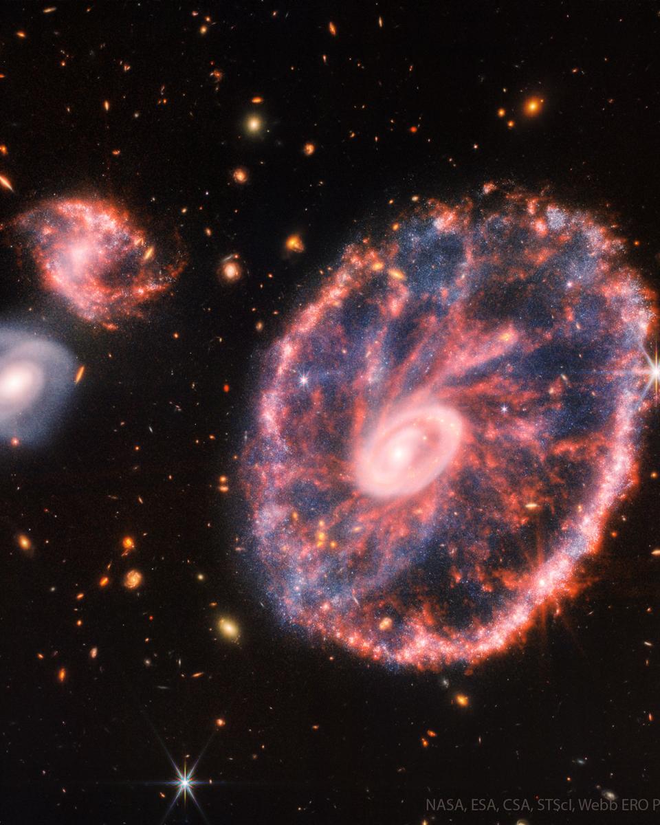The Cartwheel Galaxy from Webb