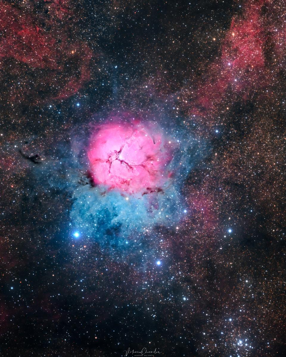 A Beautiful Trifid