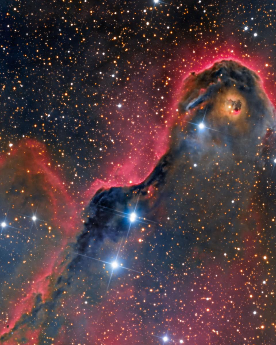 An Unusual Globule in IC 1396