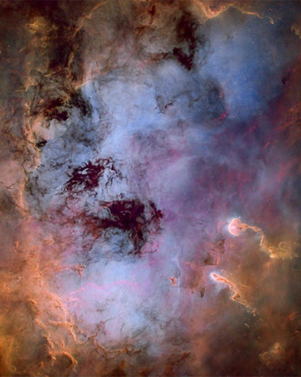 The Tadpole Nebula in Gas and Dust